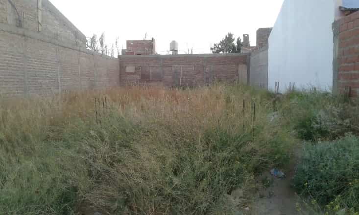 WhatsApp Image 2017-02-24 at 17.24.38