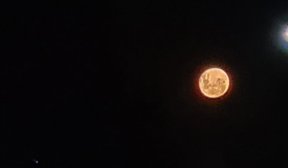 Febrero se despide con Luna llena Cutral Co al Instante
